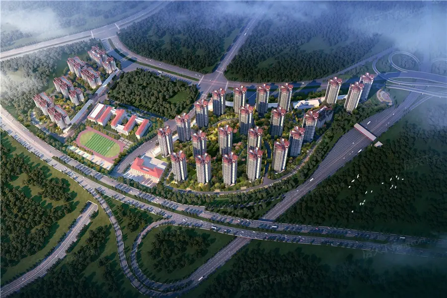 碧桂园大学印象