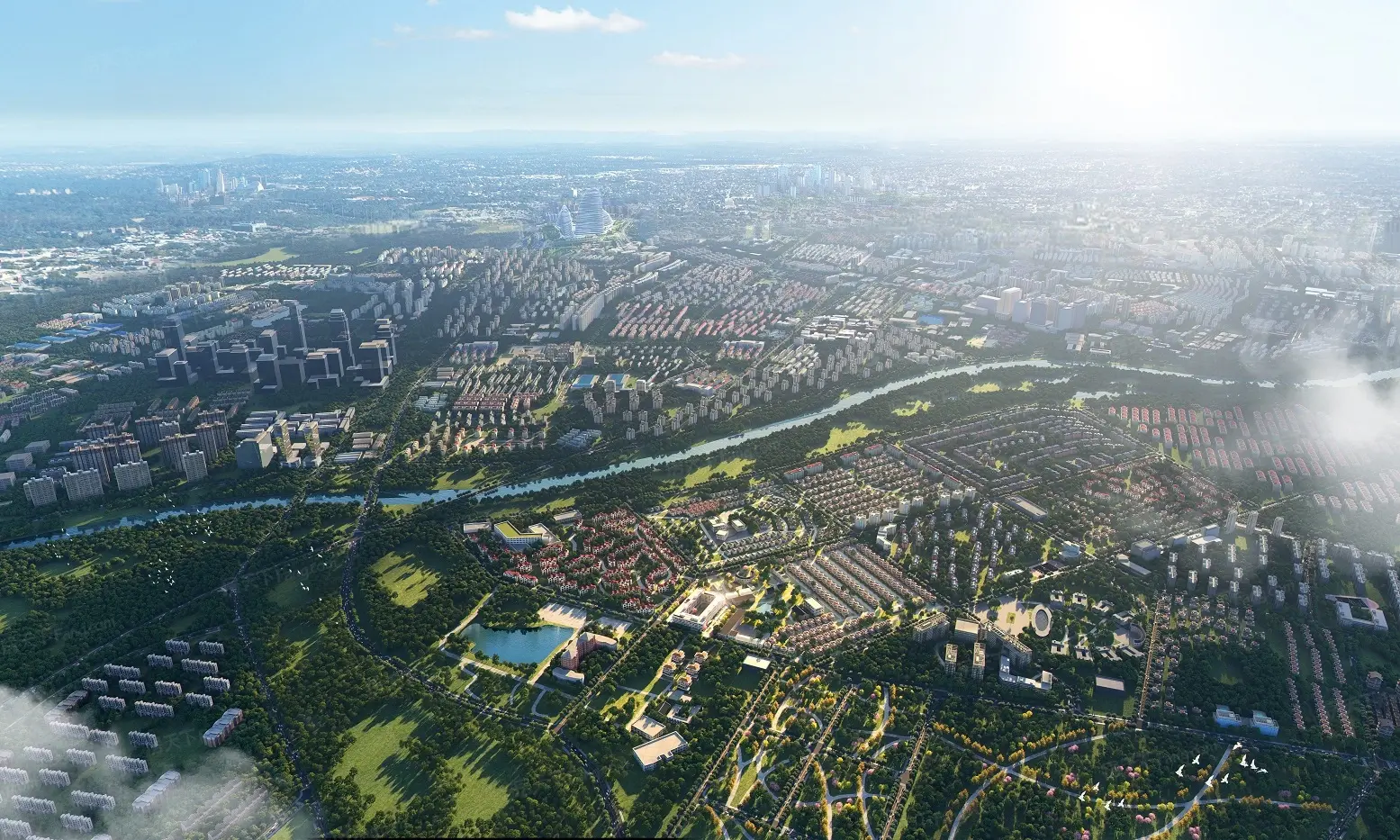 杨林大道（KING AVENUE）