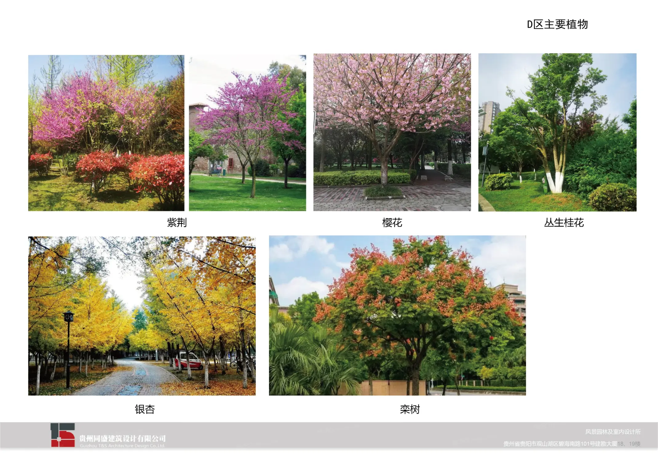 贵阳城投云岩林悦