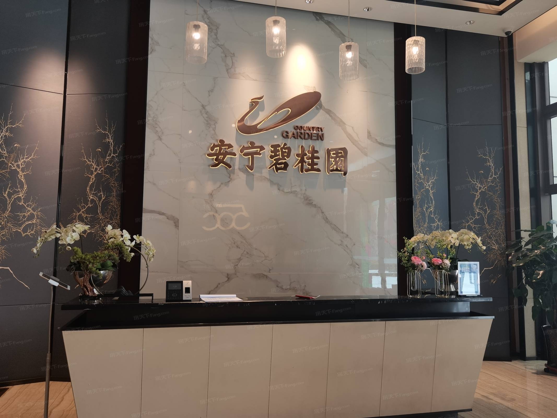 安宁碧桂园楼盘图片
