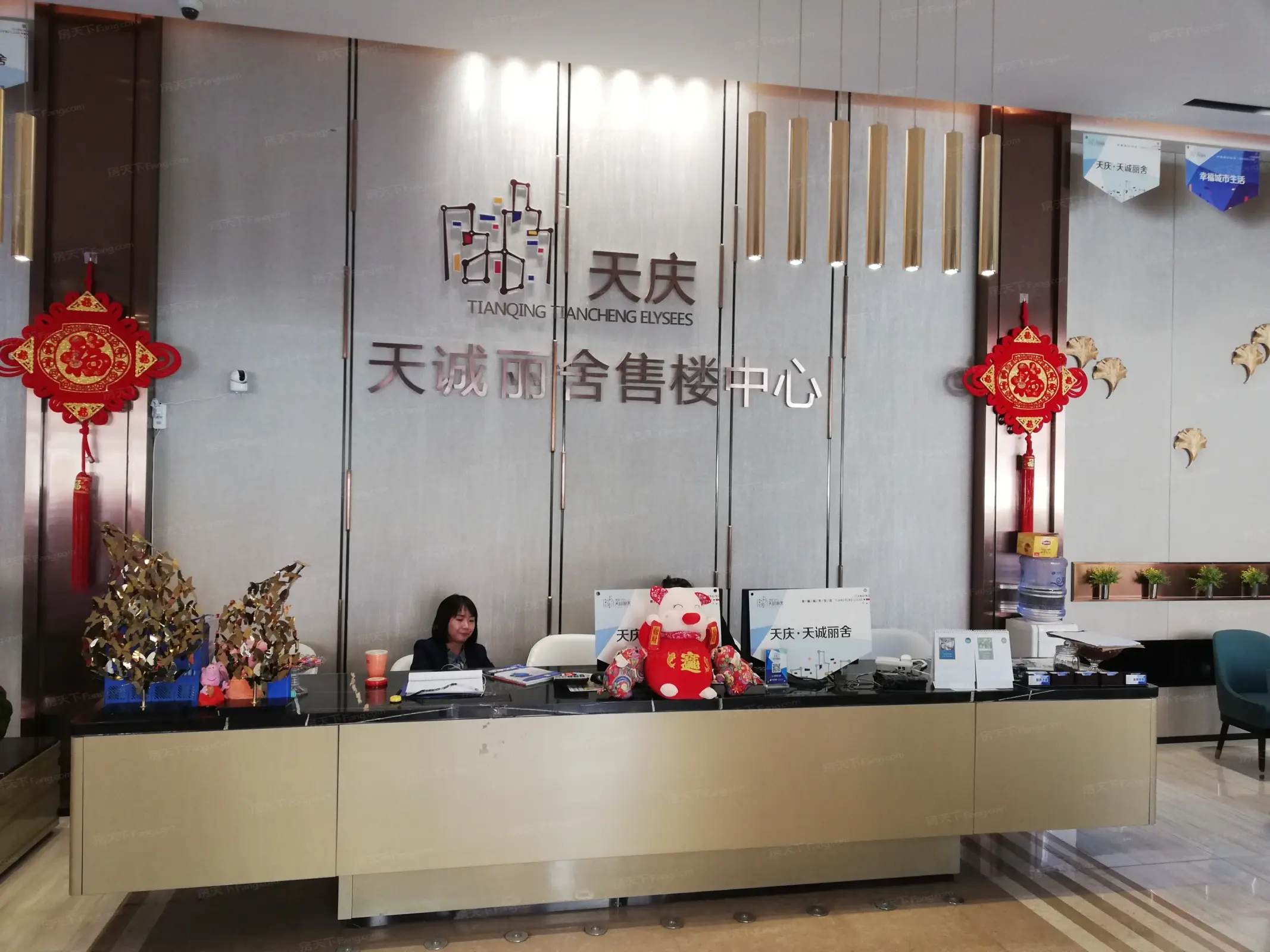 天庆天诚丽舍文教楼楼盘图片